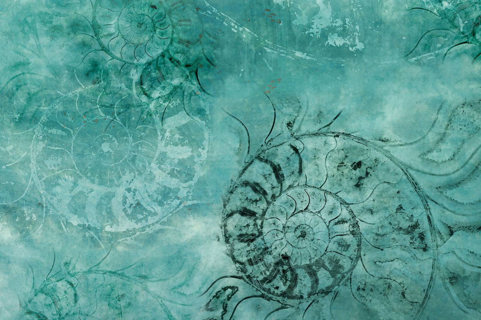 Papel pintado Ammoniti 02 by Instabilelab