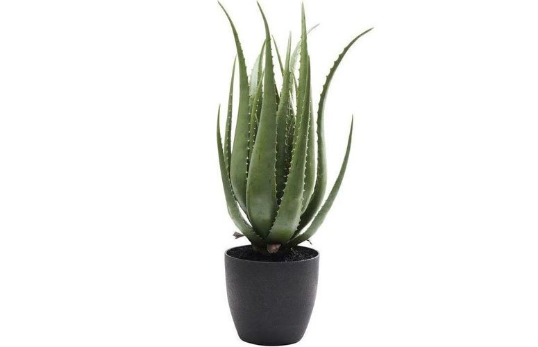 Planta artificial decorativa Aloe 69cm verde
