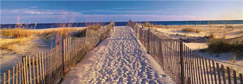 Cuadro canvas pathway to the beach