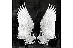 Lienzo serigrafiado Wings negro
