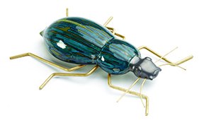 Escarabajo Beetle deep blue