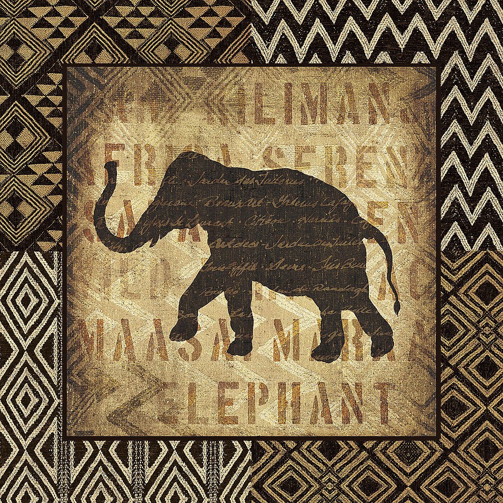 Cuadro canvas african wild elephant
