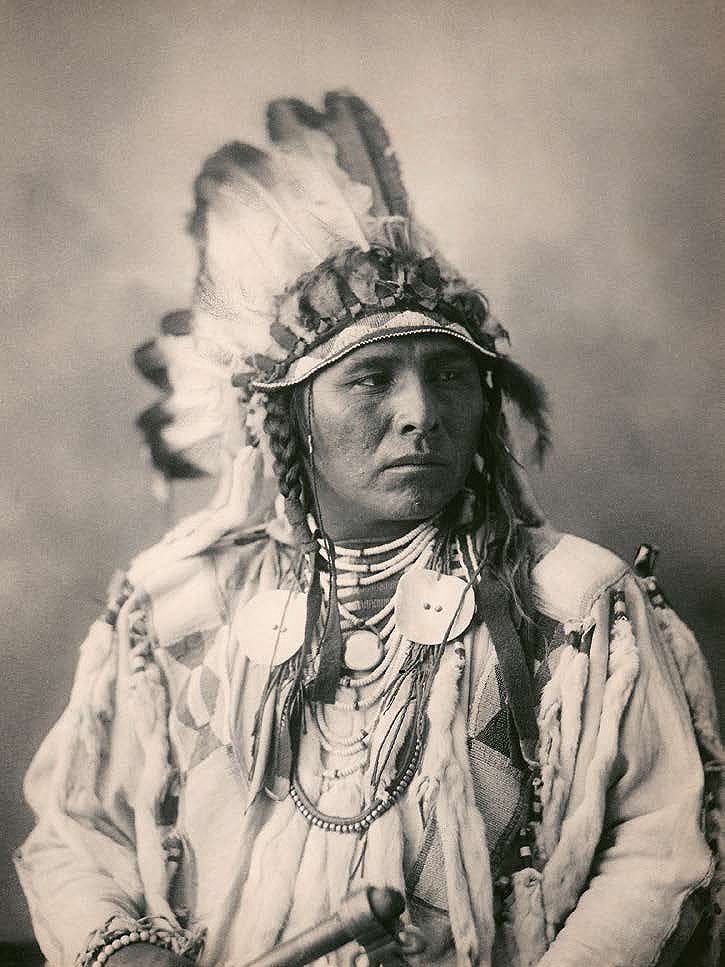 Cuadro canvas spotted jack rabbit crow 1898