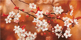 Cuadro canvas sakura