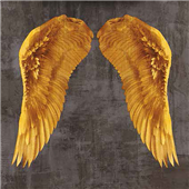 Cuadro canvas angel wings I