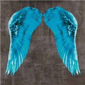 Cuadro canvas angel wing V