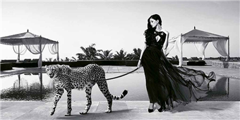 Cuadro canvas woman with cheetah
