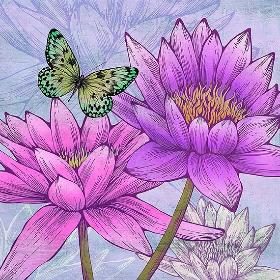 Cuadro canvas flores nympheas and butterflies