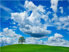 Cuadro canvas fotografia oak and clouds