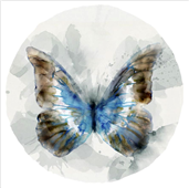 Cuadro canvas indigo butterfly II