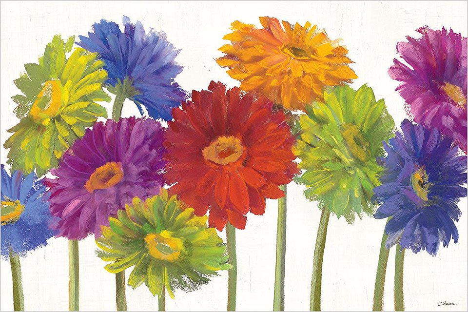 Cuadro canvas colorful gerbera daisies