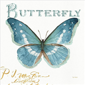 Canvas blue butterfly