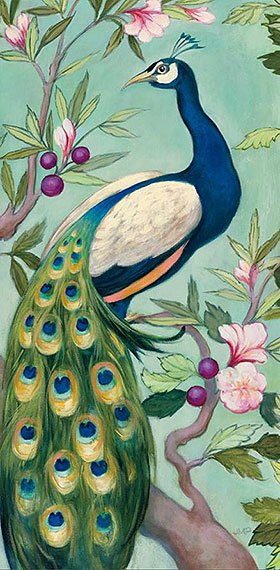 Cuadro canvas pretty peacock II