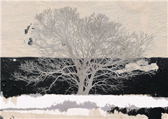 Cuadro canvas silver tree