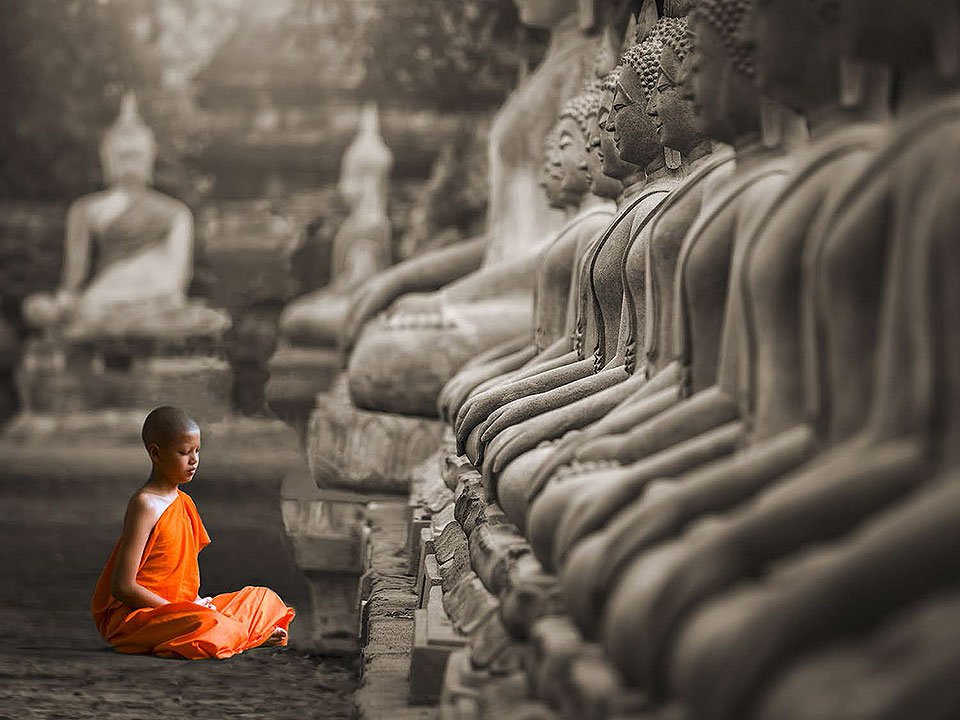 Cuadro canvas young buddhist monk praying