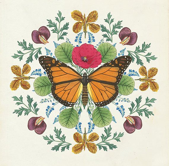 Cuadro canvas butterfly mandala I