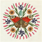 Cuadro canvas butterfly mandala II