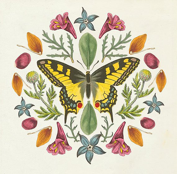 Cuadro canvas butterfly mandala III