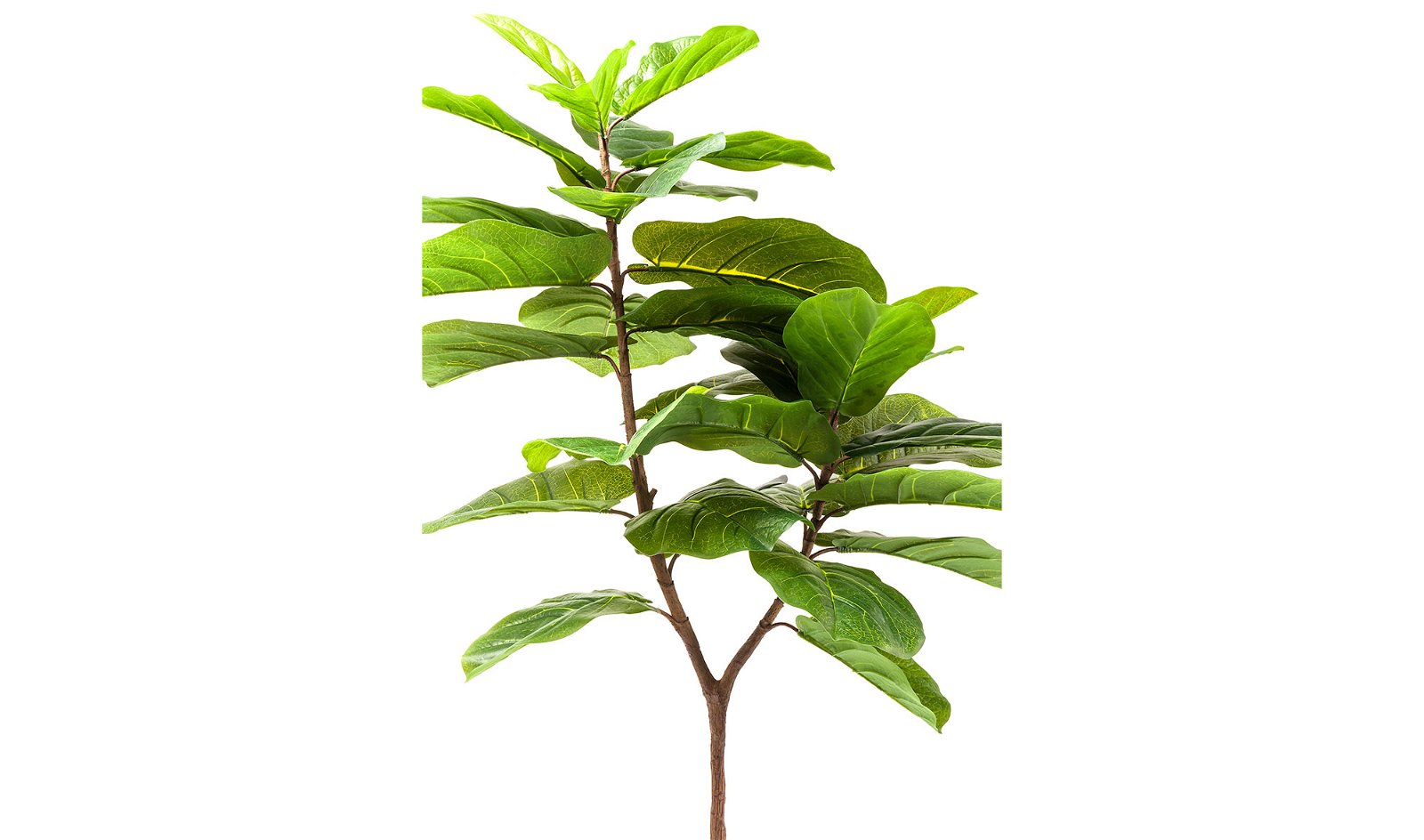 Planta decorativa Leaf Tree