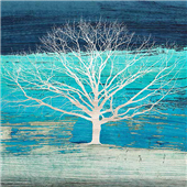 Cuadro canvas treescape azure