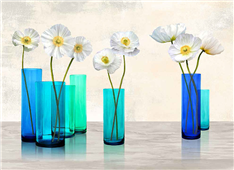 Cuadro canvas poppies in crystal vases