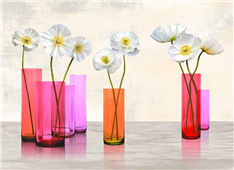 Cuadro canvas poppies in crystal vases