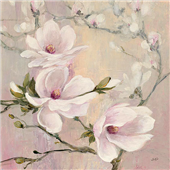 Cuadro canvas blushing magnolias