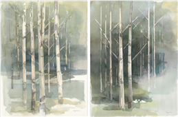 Cuadro canvas birch grove