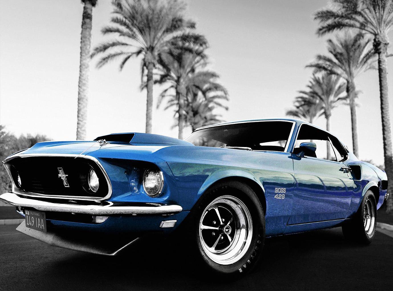 Cuadro canvas ford mustang boss 429