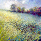 Cuadro canvas feathered field