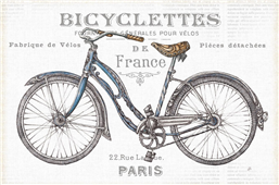 Cuadro canvas bicicleta II