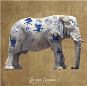 Cuadro canvas figurativo elefante tatuado