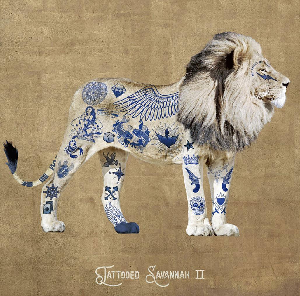 Cuadro canvas figurativo leon tatuado