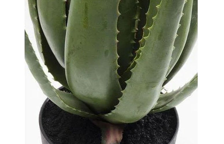 Planta decorativa Aloe 69cm natural