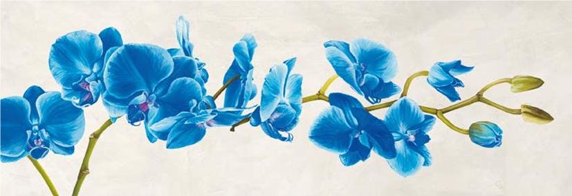 Cuadro canvas blue orchid