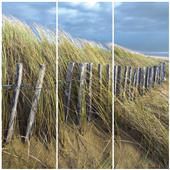 Cuadros Tríos Canvas Du vent les dunes
