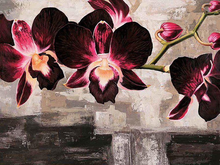 Cuadro canvas velvet orchids