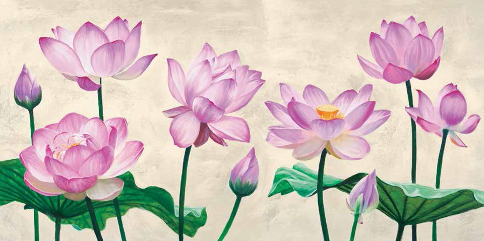 Cuadro canvas lotus flowers
