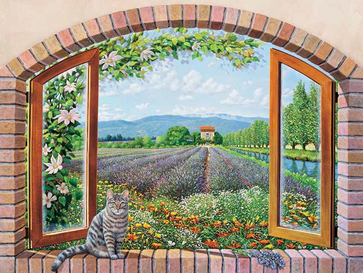 Cuadro canvas finestra in provenza