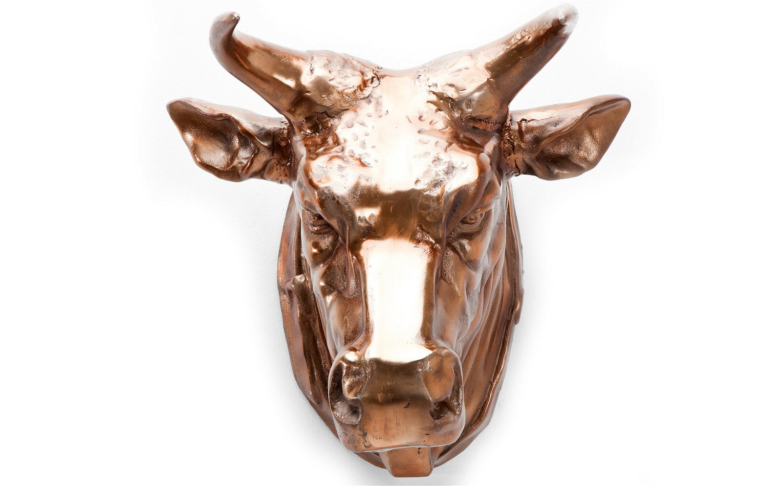 Cabeza decorativa de buffalo cobre