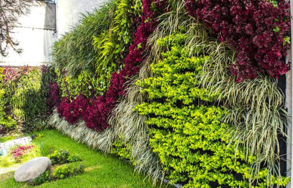 sobras circuito Combatiente Jardines verticales: verdes, hermosos y saludables